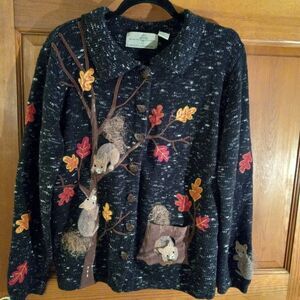 Design Options Squirrel Sweater
